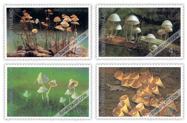 Environment Conservation Issue (Mushroom 2nd Series)