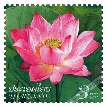 Definitive Postage Stamp - Lotus