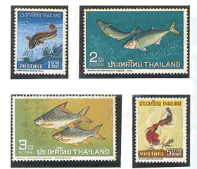 Thai Fish (1st Series)