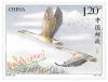 Wild Goose Stamp