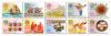 Personal Greeting Stamps (Issue of 2004) ($3.50 NT)